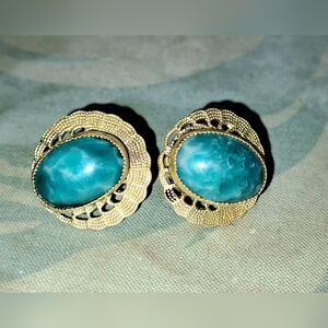 Vintage Screwback Turquoise Earrings